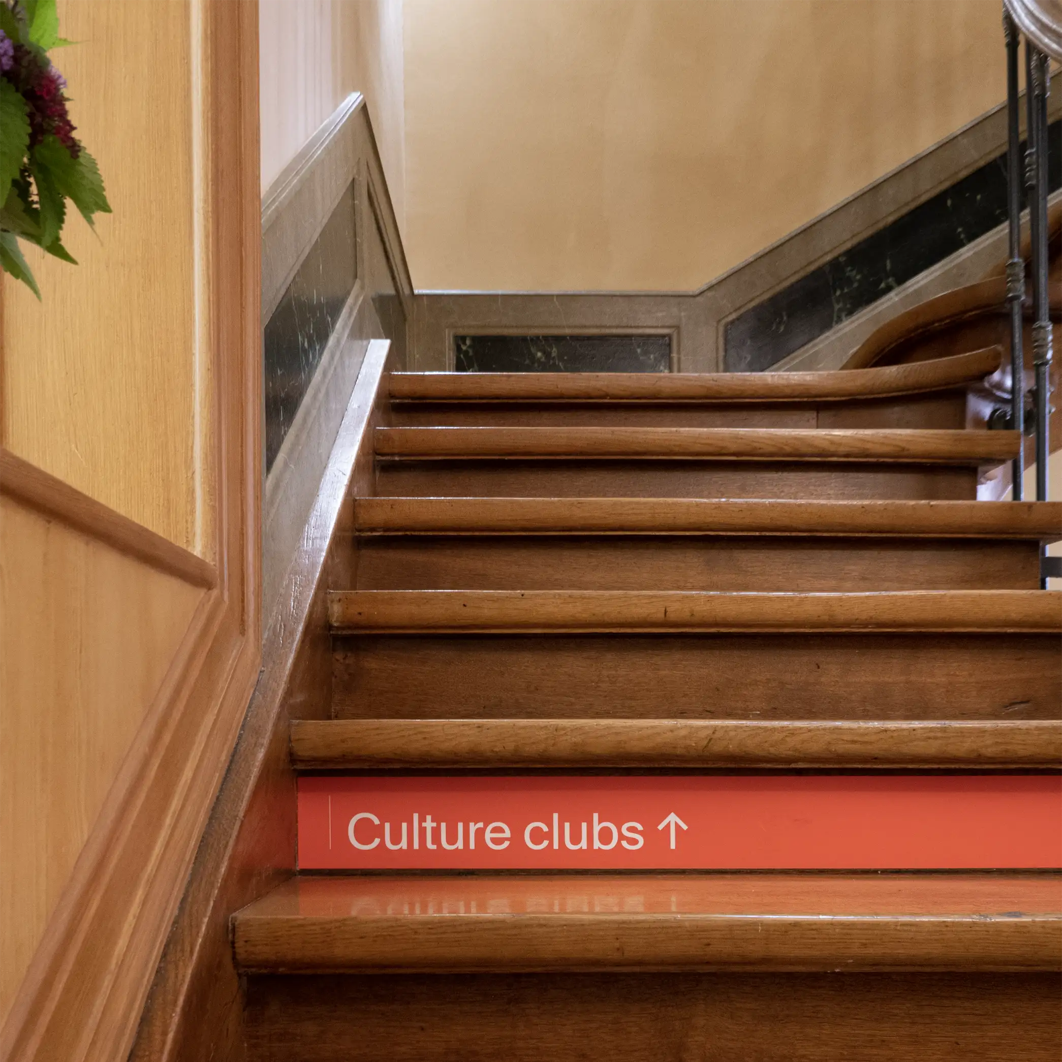 Culture club
